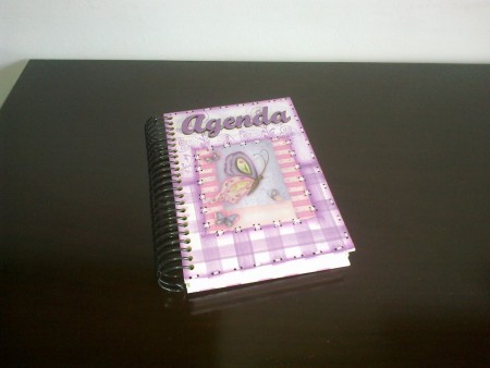 Agenda telefônica e Agenda anual